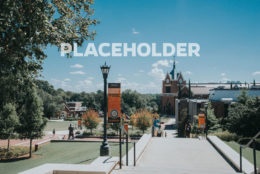 Placeholder