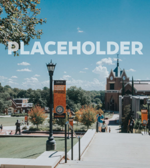 Placeholder
